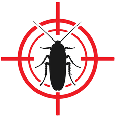 Garantie désinsectisation Nova Clean